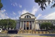 American Museum of Natural History - Manhattan museums American Museum of Natural History - NYC museum