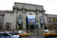 American Museum of Natural History - Manhattan museums Manhattan museum - American Museum of Natural History