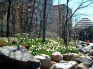 Battery Park - NYC parks