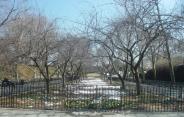 Manhattan park - Carl Schuz Park