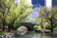Central Park - NYC parks