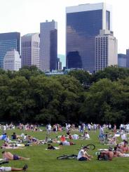 Manhattan park - Central Park