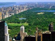 Central Park - NYC parks