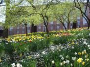 Jackie Robinson Park - NYC parks Jackie Robinson Park Manhattan park