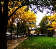 Battery Park - NYC parks