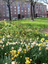 NYC park - Jackie Robinson Park Jackie Robinson Park - NYC parks