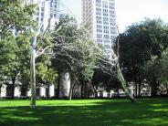 Madison Square Park - NYC parks