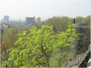 NYC park - Morningside Park