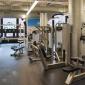 The Archive Fitness Center - 666 Greenwich Street apartments for rent