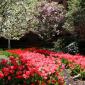 Hampton Court Garden - Manhattan Apartments for rent