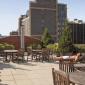 Chelsea Place Sun Deck - Manhattan Apartments for rent
