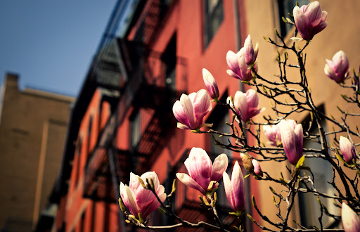 Spring came early for luxury rentals in Manhattan in 2012