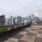 Roofdeck at 415 East 54th Street - St James Tower