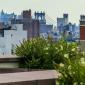 Stunning view from The Nathaniel in Greenwich Village