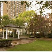 155 East 31st Street rentals Windsor Court Apartments for rent in