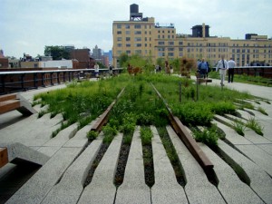 The High Line transformed West Chelse into a great place for luxury rentals